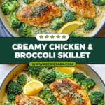 Creamy Chicken and Broccoli Recipe