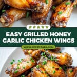 Grilled Honey Garlic Chicken Wings Recipe