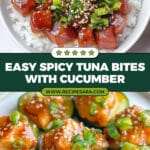 Spicy Tuna Bites Recipe