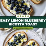 Lemon Blueberry Ricotta Toast With Honey Recipe