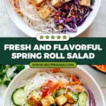 Spring Roll Salad Recipe