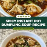 Instant Pot Spicy Dumpling Soup Recipe