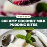 Coconut Milk Pudding Recipe
