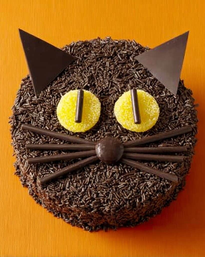Black Cat Cupcakes Recipe